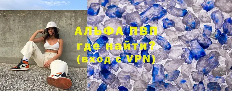 A PVP СК КРИС  Бородино 